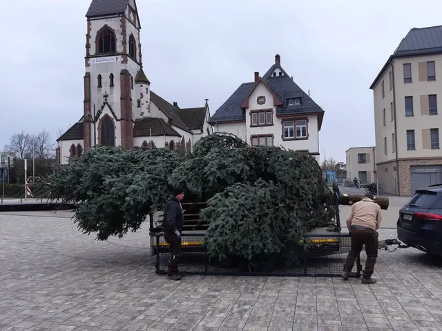 Lieferung 2024 | Foto: UG