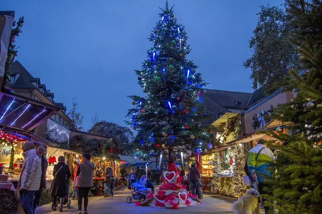 Le marché de Noël des enfants à la petite venise
Colmar - Alsace - France

 | Foto: Tourisme Colmar