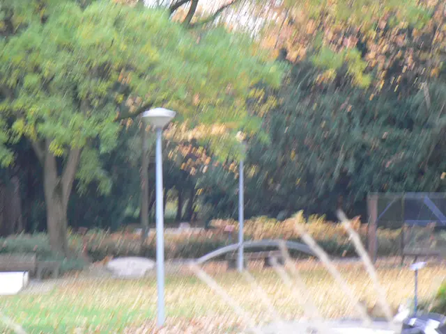 Foto: GUBO