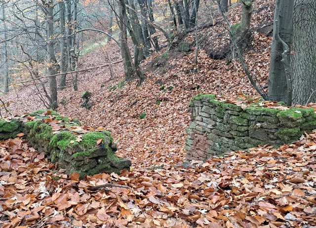 Links und rechts die moosüberzogenen Mauern, in der Mitte befinden sich die Treppenstufen | Foto: Monika Klein