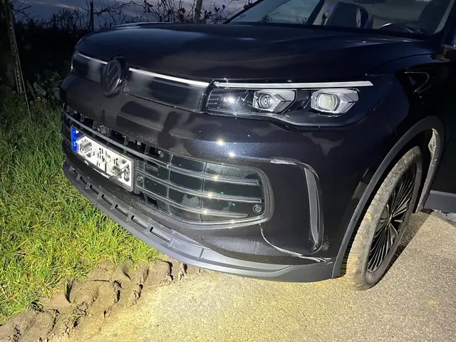 Die Unfallspuren | Foto: Polizei Bad Bergzabern