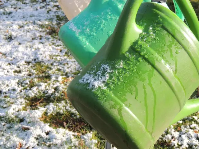 Wasser am Waldfriedhof | Foto: Stadtverwaltung Schifferstadt