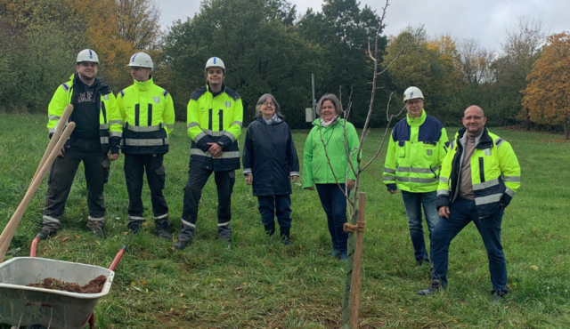 Der Birnbaum als besonderes Dankeschön bei einem langjährigen Partner des Projekts | Foto: Petra Hollatz/gratis