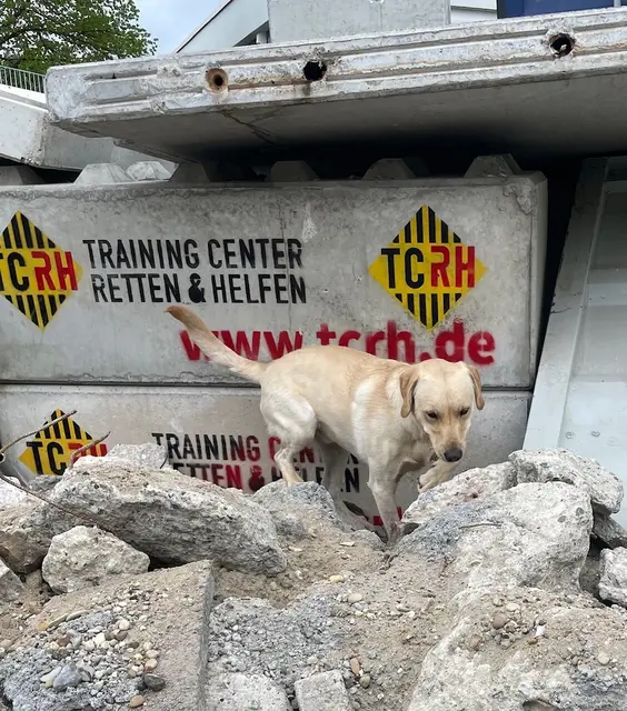 Foto: BRH Rettungshundestaffel Donnersberg e.V.