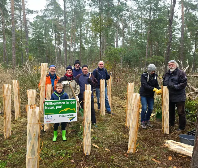 Pflanzaktion im Haßlocher Zukunftswäldchen „Hintereck“ | Foto: Gemeindeverwaltung Haßloch