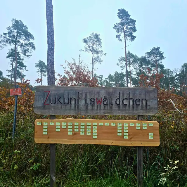 Zukunftswäldchen bei Haßloch | Foto: Gemeindeverwaltung Haßloch