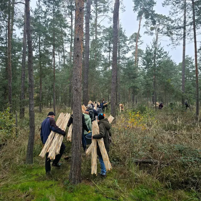 Foto: Gemeindeverwaltung Haßloch