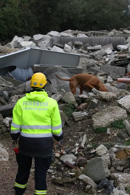 Bei der Vermisstensuche werden häufig Hunde eingesetzt/Symbolfoto | Foto: Feuerwehr Frankenthal