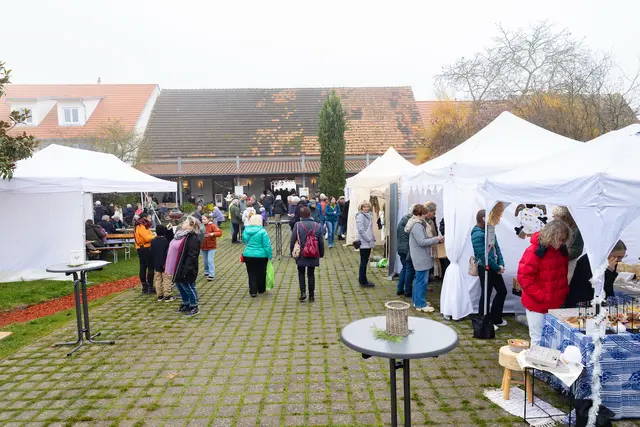 Foto: Johann-Peter Melder