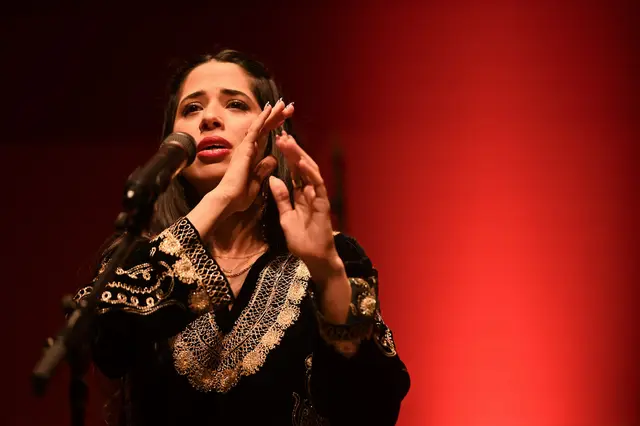 Shani Oshri Trio | Foto: Anja Schneider/gratis