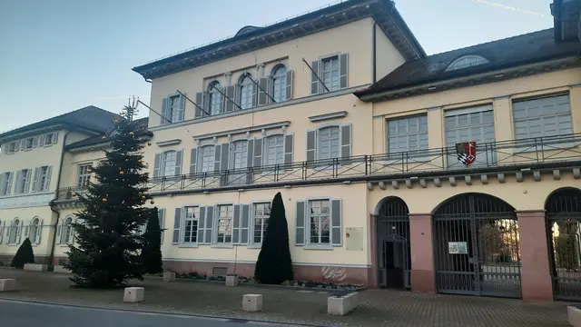 Schloss Neckarhausen | Foto: Kristin Hätterich