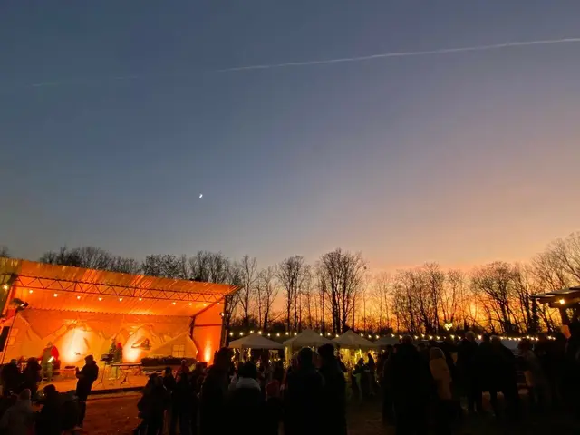 Gibt es seit 2022: die Waldweihnacht in Waldsee | Foto: Simone Kirsch