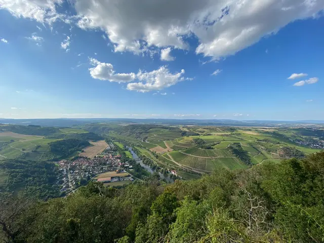 Schönste An-/Aussicht: Oberhausen/Nahe im Sommer - Blick auf die Luitpoldbrücke, li. liegt Oberhausen/N., rechts in den Weinbergen Gut Hermannsberg  | Foto: Arno Mohr 