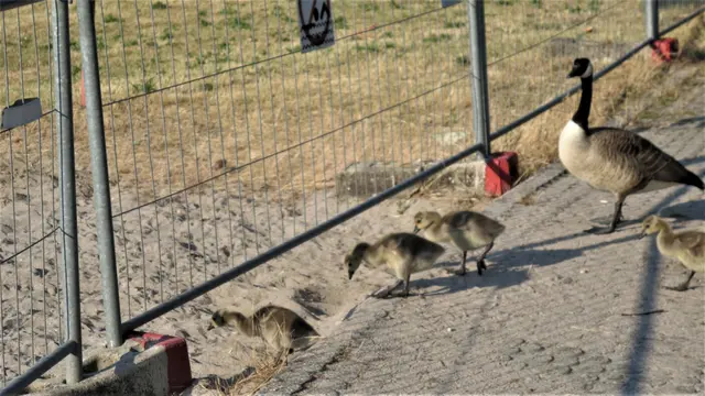 Foto: Julia Glöckner