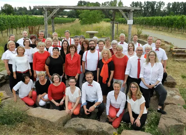 Die Swinging Storks  | Foto: Mgv-geinsheim 