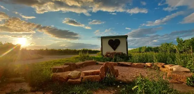 Herzplätzel im Sommer | Foto: Gudrun Grundhöfer