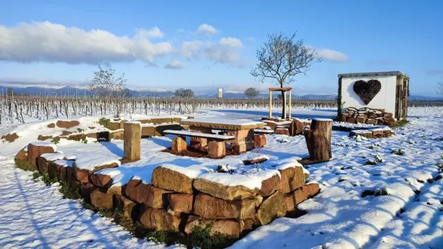 Herzplätzel im Winter. | Foto: Joachim Schilling