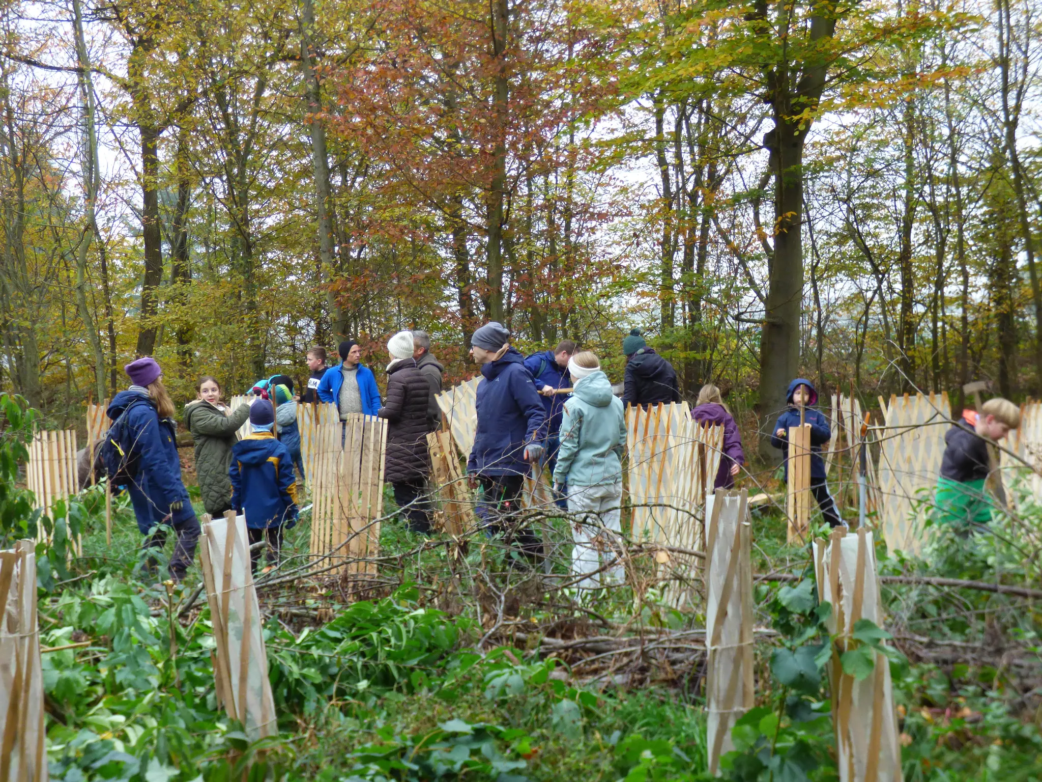Die-Umweltdetektive-der-NaturFreunde-Bruchsal-pflanzten-einen-Wald