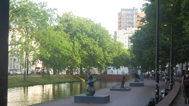 Bäume machen Schatten, verdunsten über Photosynthese Wasser. Bei der Verwendung von Baumrigolen fördern sie die Verdunstung von Regenwasser. (Rotterdam 2025) | Foto: Julia Glöckner