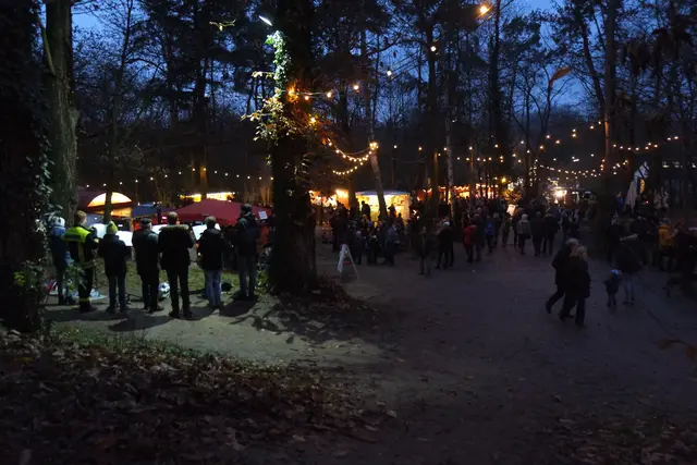 Weihnachten im Wald: Waldweihnachten sind ganz besonders romantisch und stimmungsvoll | Foto: Jessica Bader