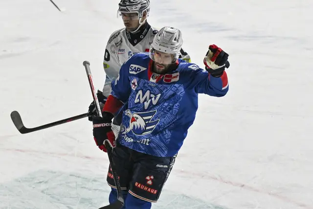 Matthias Plachta bejubelt gegen Dresden sein 200. Tor in der DEL. | Foto: Ruffler/PIX-Sportfotos