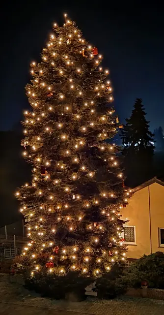 Weihanchtsbaum am südlichen Ende des Sägmühlwegs in Haßloch | Foto: Otmar Bethmann