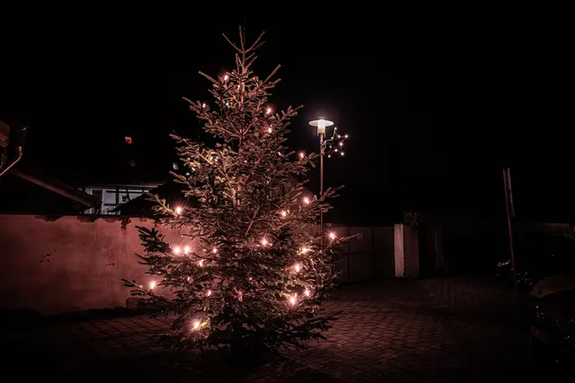 So schön strahlt und leuchtet der Michaelsmarkt in Hagenbach | Foto: Paul Needham