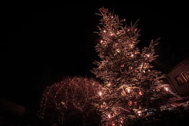 So schön strahlt und leuchtet der Michaelsmarkt in Hagenbach | Foto: Paul Needham