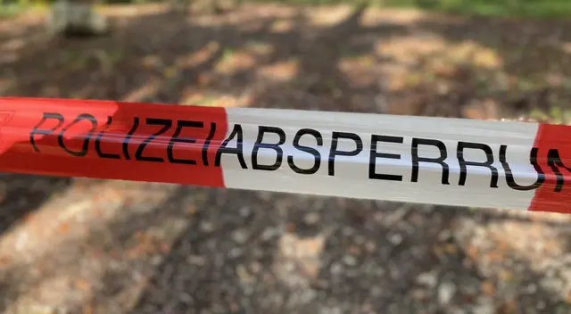 Ein Jagdpächter entdeckte Ende Oktober in einem Waldgebiet bei Waldleiningen menschliche Überreste und verständigte umgehend die Polizei | Foto: Kim Rileit