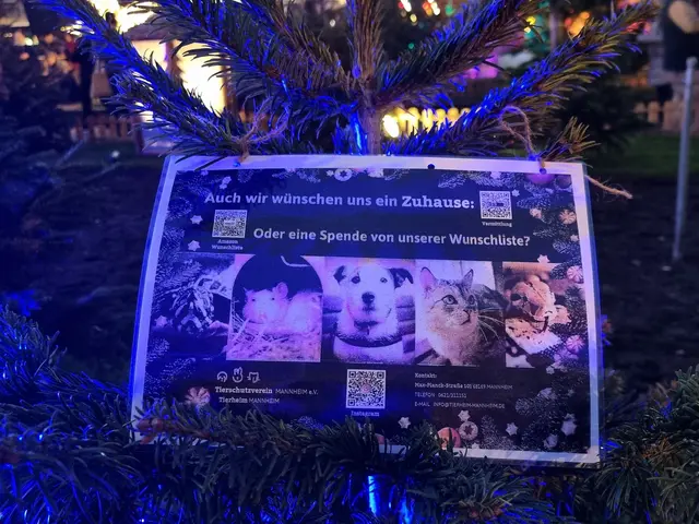 Im Märchenwald wird um Spenden für das Tierheim Mannheim gebeten. | Foto: Charlotte Basaric-Steinhübl