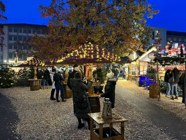 Waldweihnacht Karlsruhe: Die Besucher fühlen sich auf dem Friedrichsplatz unter hohen Bäumen, inmitten von geschmückten Weihnachtsbäumchen und auf Hackschnitzel unter den Füßen wie im Wald. | Foto: Thorsten Kornmann (2023)