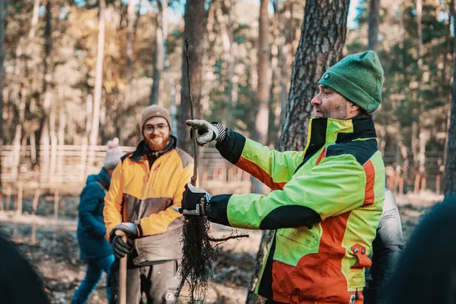 Revierförster Jens Bramenkamp erklärt, die tief die Pflanzen in die Erde müssen, um gut anzuwachsen. | Foto: Daniel Löwedey/Stadt Neustadt