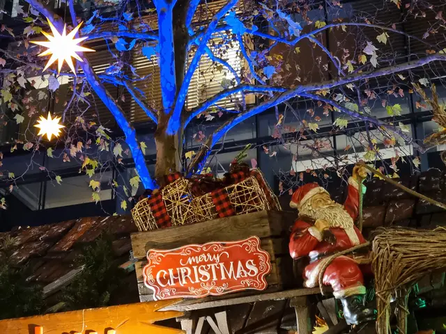 Es weihnachtet sehr. | Foto: Charlotte Basaric-Steinhübl