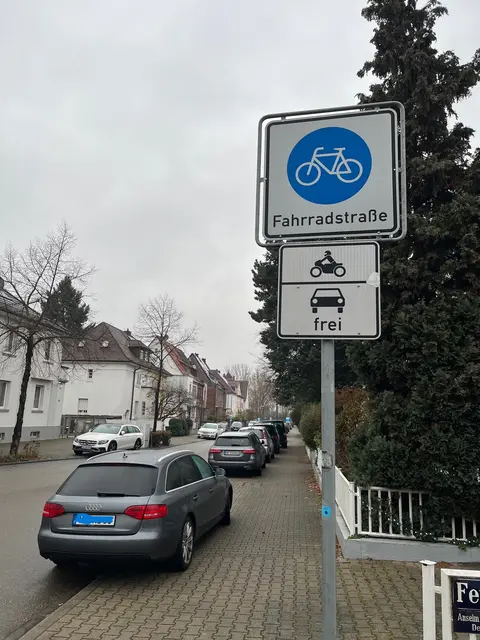 Die Karl Ladenburg Straße ist seit 2013 Fahrradstraße. | Foto: Aljoscha Kertesz