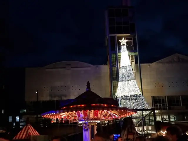 Mit vielen "Ahs" und "Ohs" wurde das Einschalten der Beleuchtung begleitet - hier der stilisierte Tannenbaum am Stadthaus N1. | Foto: Charlotte Basaric-Steinhübl