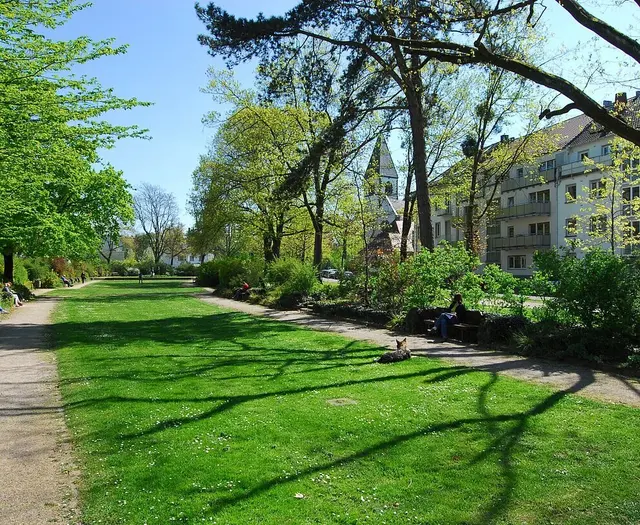 Hildapromenade im Sommer: Die bisherige Monostruktur der ehemaligen Allee wird durch eine größere Vielfalt an Baumarten abgelöst | Foto: Stadt Karlsruhe, Monika Müller-Gmelin