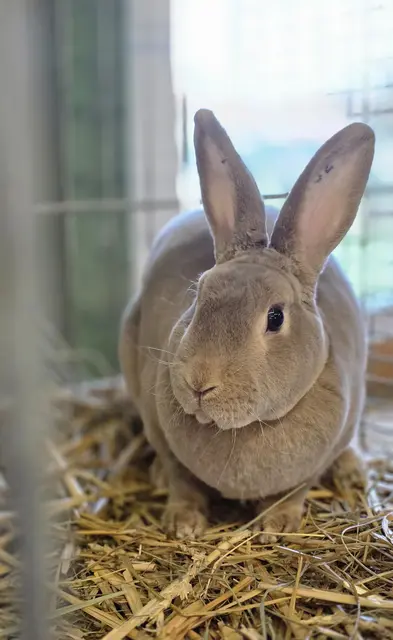 Foto: Bianca Archut-Schiele