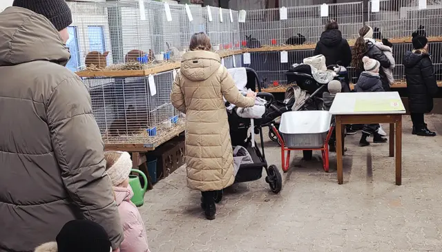 viele Besucher | Foto: Bianca Archut-Schiele