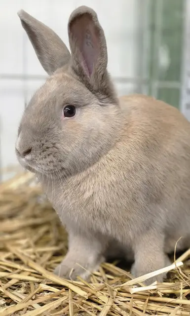 Foto: Bianca Archut-Schiele