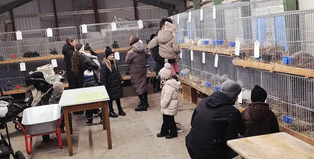 so viele süße Hasen ...  | Foto: Bianca Archut-Schiele