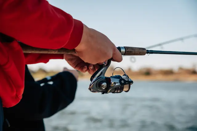 Fischereigesetz: Digitalisierung soll Ausübung des Hobbys erleichtern / Symbolbild | Foto: Michael/stock.adobe.com