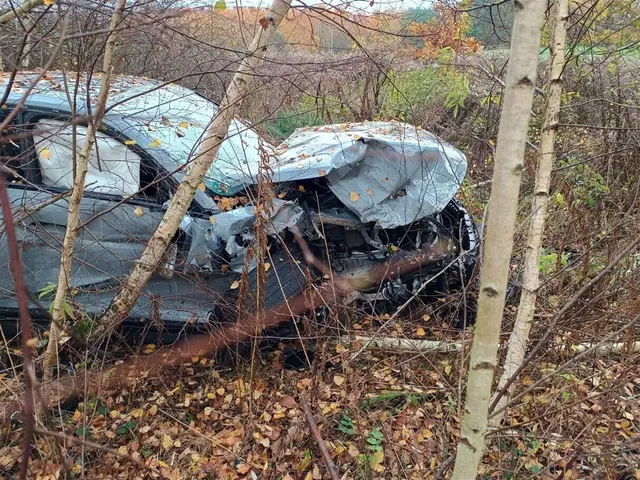 Mehrere Fahrzeuginsassen erlitten dabei teils erhebliche Verletzungen und wurden durch Rettungskräfte in umliegende Krankenhäuser gebracht | Foto: Polizeiinspektion Kusel