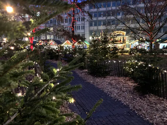 Foto: Thorsten Kornmann