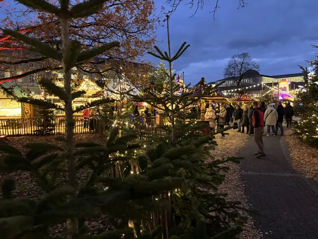 Foto: Thorsten Kornmann