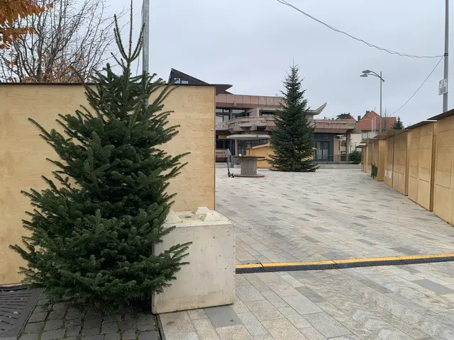 Foto: Michael Sonnick