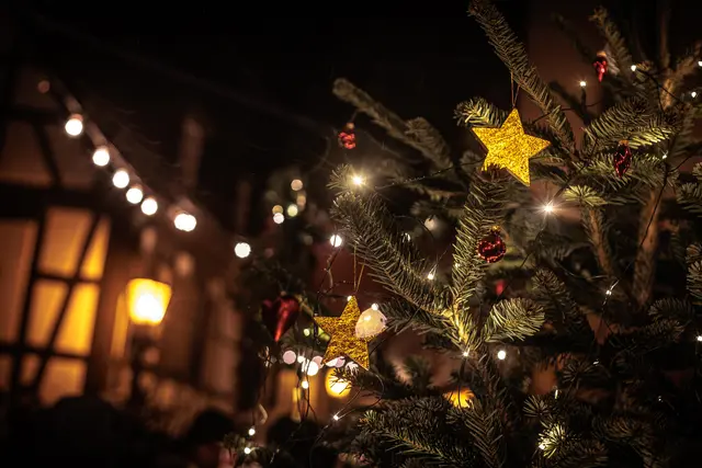 so schön ist der Anneresl 2025 | Foto: Paul Needham