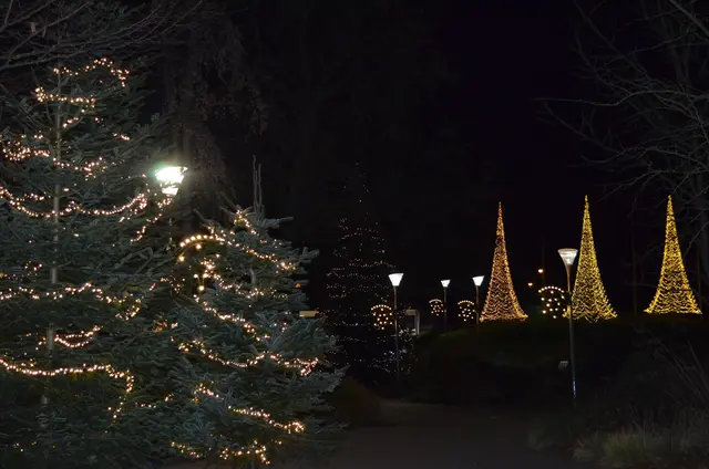 Der Haupteingangsbereich des Luisenparks mit Tannen. | Foto: Luisenpark Mannheim