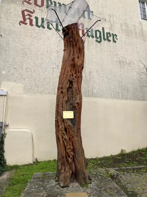 ältester Mandelbaum von Gimmeldingen | Foto: Ich