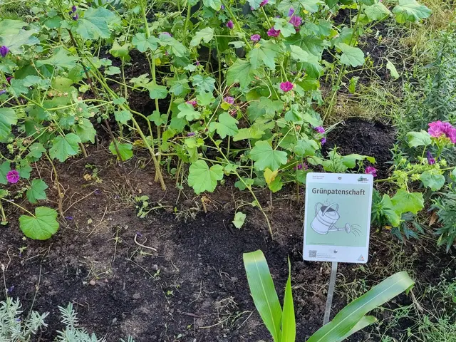 Grünpatenschaft in Karlsruhe | Foto: www.jowapress.de