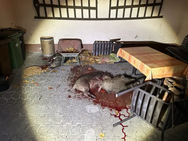 tote Wildschweine  | Foto: Polizei Wörth 